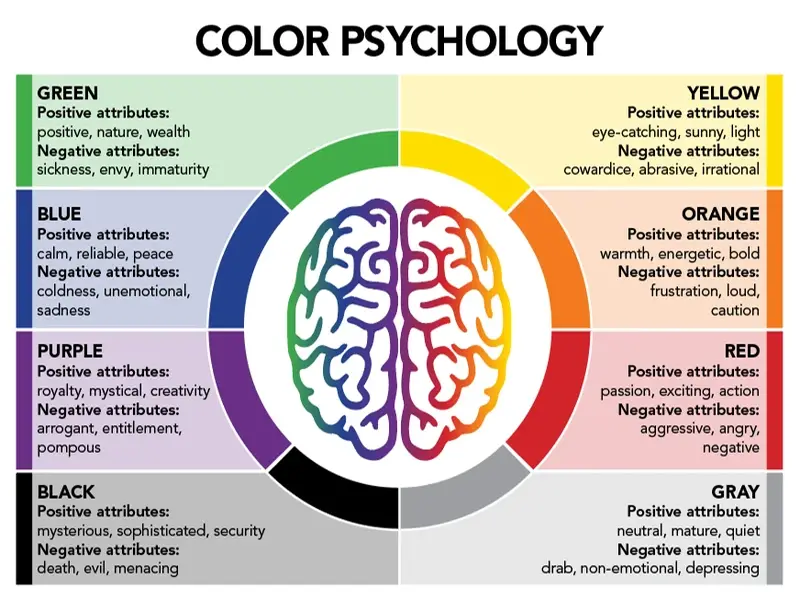 Understanding the Impact of Dental Office Color Psychology